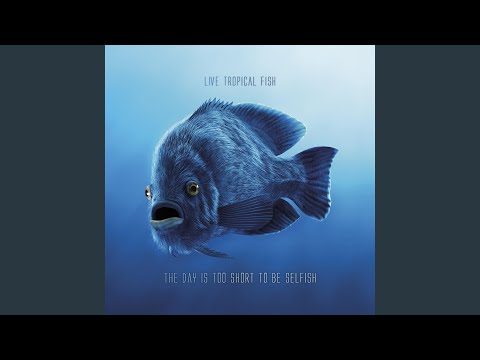 在 YouTube 上观看 Slide Away (feat. Alison Crockett)