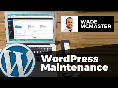 Regular WordPress Maintenance (10 Things You Must Do Regularly!)