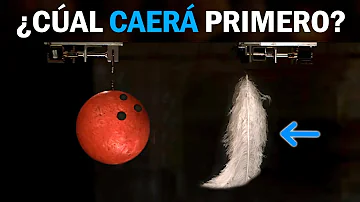 ¿Qué caería primero una pluma o una piedra?