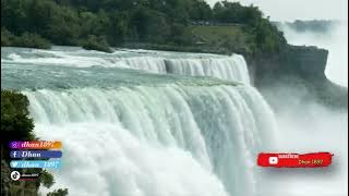 Terapi burung dengan suara Air dan Masteran Cungkok Kenari cililin jenggot dan kapas tembak.