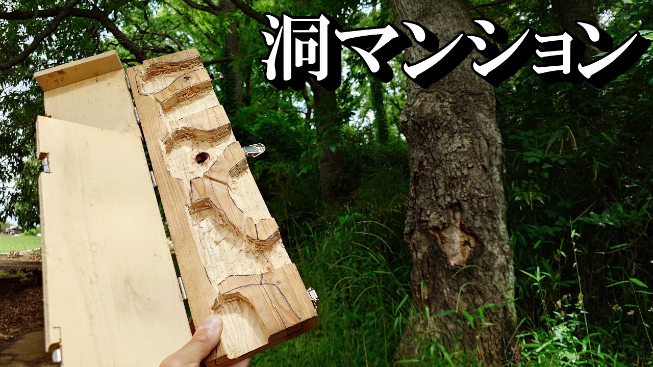 タカっちゃんページ maxresdefault.jpg
