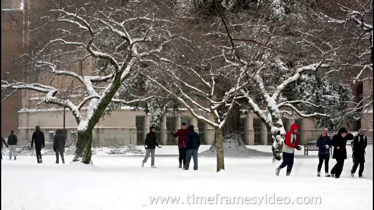 university-of-washington-snow-day-at-uw-youtube