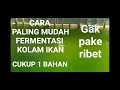 Fermentasi kolam ikan paling mudah cukup pakai 1 bahan