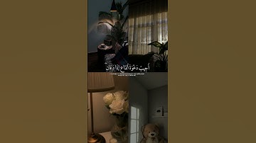 وَإِذا سَأَلَكَ عِبادي عَنّي فَإِنّي قَريبٌ #اسلام_صبحي #قرآن #quran #تلاوات #اكتب_شي_تؤجر_عليه