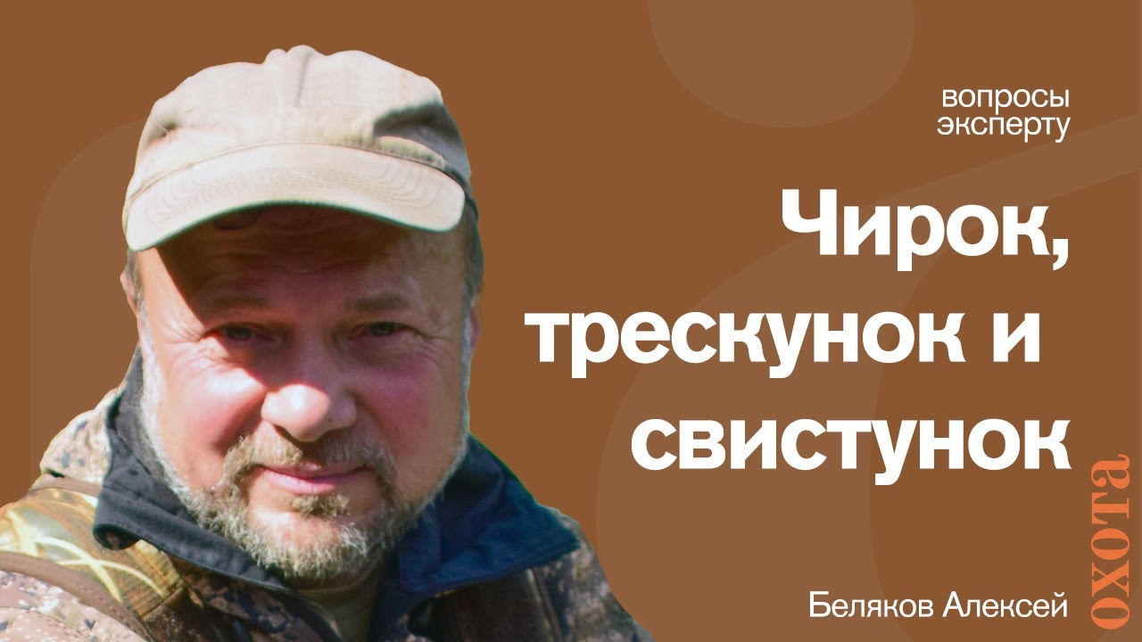 Чирок-трескунок и чирок-свистунок