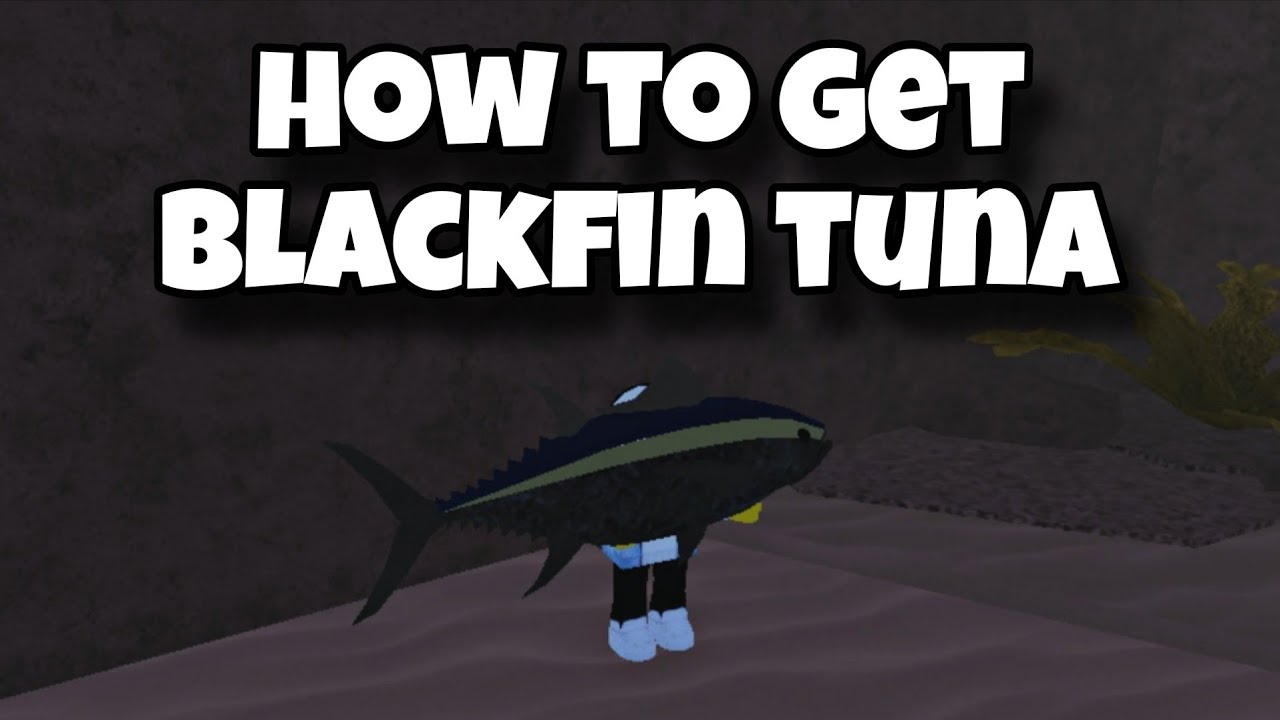 Как добыть черноперого тунца в Abyss Roblox | квест