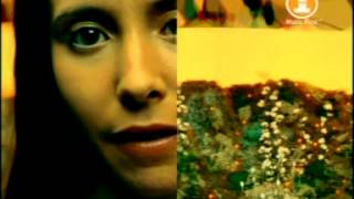 Nerina Pallot   Patience