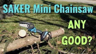 Saker Mini Electric Chainsaw  PUT TO THE TEST  Unboxing & Review