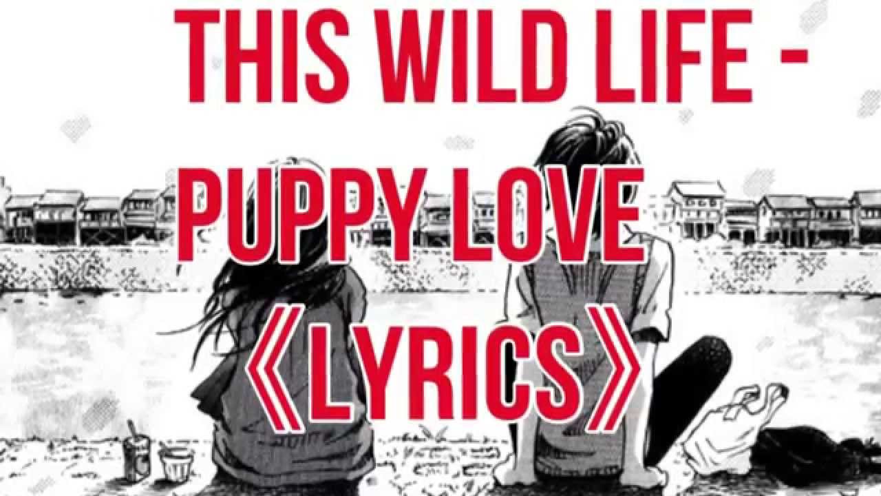 This Wild Life Puppy Love (Lyrics) YouTube