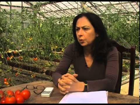 გეოთერმული წყლები - Geothermal Waters - გადაცემა \"ეკოვიზია\" - 'Ecovision' TV Show