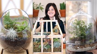 3 Ideas for Terrariums!