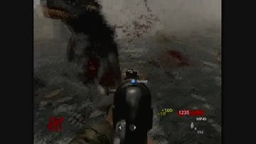 Call of Duty World at War - Shi no Numa Flaming Hounds Gameplay