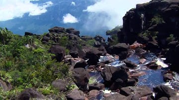 تقليد ماهر المعيقلي | أواخر سورة هود | HD