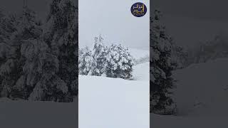 كميات الثلوج المتساقطة بجبال عين عباسة على ارتفاع 1200 م