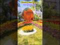 Flowers show, pune | छत्रपती संभाजी महाराज उद्यान #ytshorts #flowershow