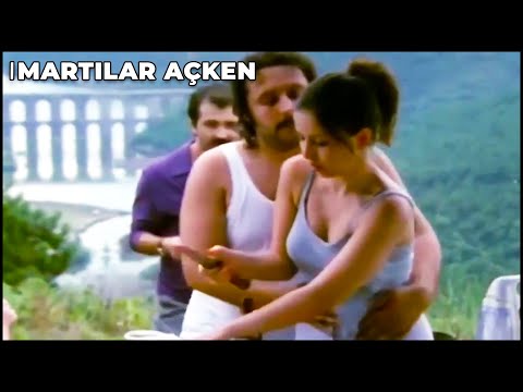 Akşama Birlikteyiz! | Martılar Açken