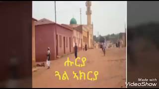 eritrean music krar fgra huruya gal akrya screenshot 3