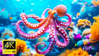 The Best 4K Aquarium - Dive Into The Mesmerizing Underwater Realm, Sea Jellyfish, Coral Reefs