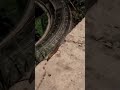 БІЗДЕ КҮНІГЕ ҰЛУУ🐌🫣 | МАЙДЫҢ БАСЫНДАҒЫ ВИДЕОМ БІРАҚ ҚАЗІРДЕ ҰЛУ БАРР😀