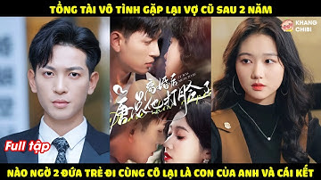 Tổng Tài Vô Tình Gặp Lại Vợ Cũ Sau 2 Năm, Ai Ngờ 2 Đứa Trẻ Đi Cùng Cô Lại Là Con Của Mình Và Cái Kết