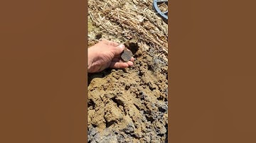Big old  almost 200 years ol copper coin found on the beach