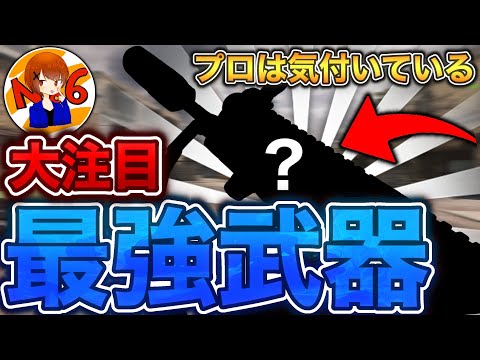 今シーズン大注目AR！まさかの武器が環境入り？！【CoDモバイル】【ろくたん】