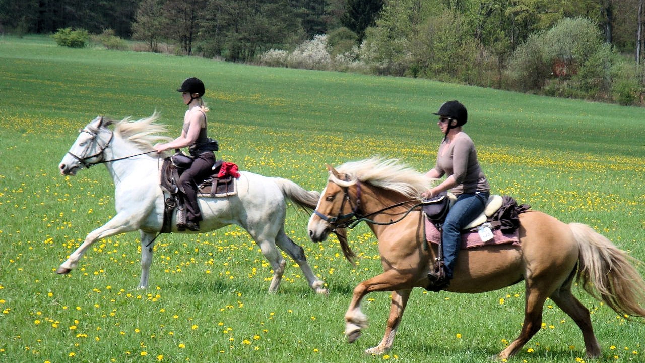 Tolle Braut beim Reiten 