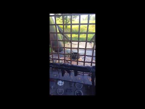 Running A Logging