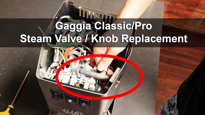 Gaggia Classic Pro Full Steam Wand Assembly – Whole Latte Love