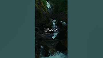 القارئ: ياسر الدوسري ☕ | سورة: البقرة | الآية: 197