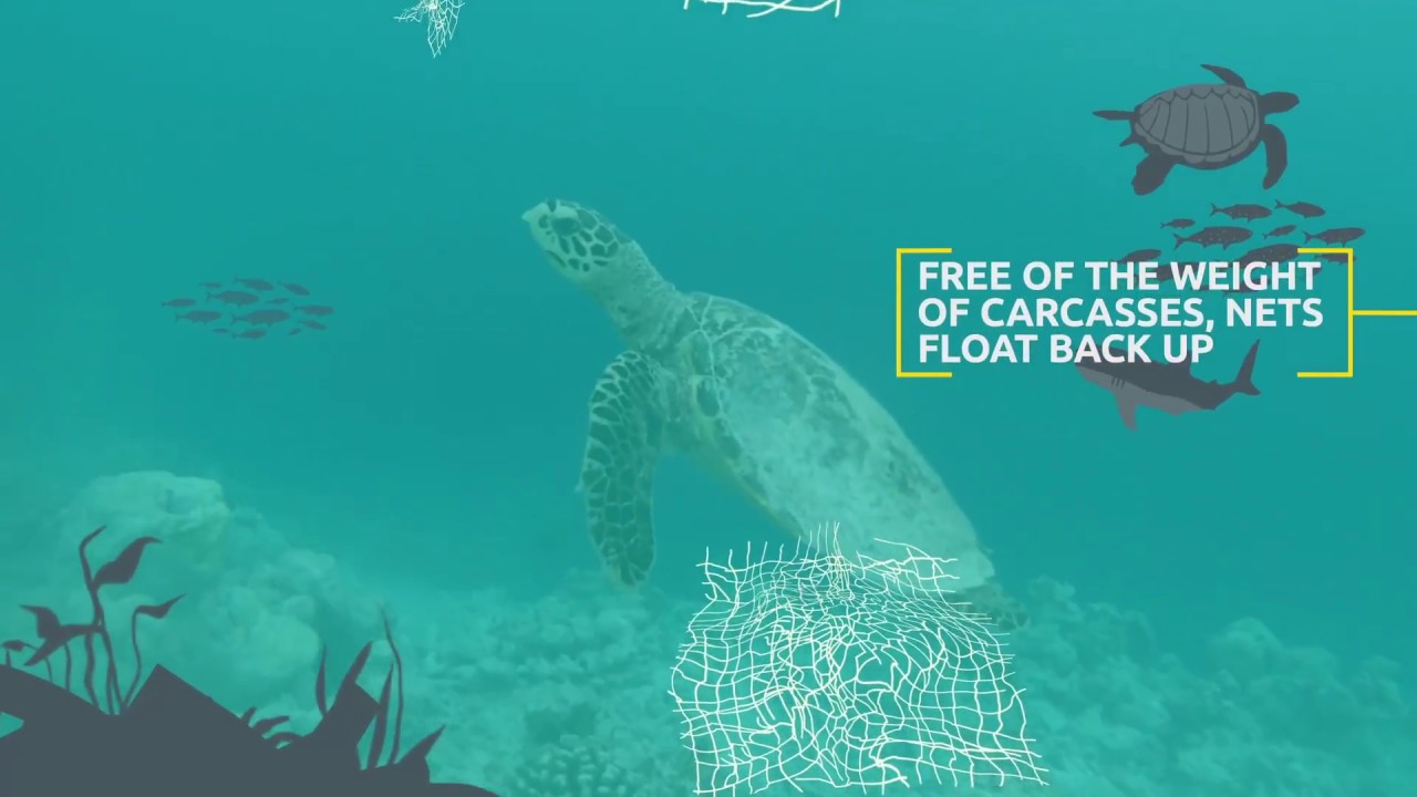 Econyl Yarn Is A 100 Regenerated And Regenerable Nylon 6 Youtube