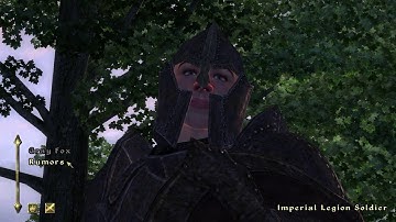 The Elder Scrolls IV - Oblivion - Part 81 - A Mage