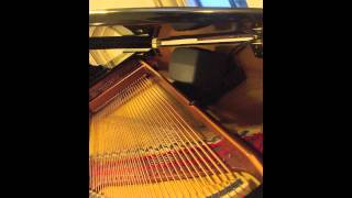 Mutable Music