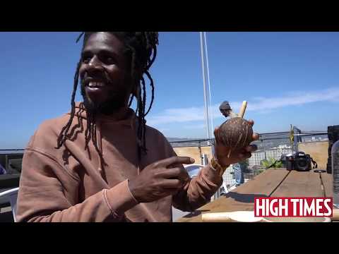 Chronixx on Cannabis