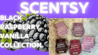 Scentsy Black Raspberry Vanilla Collection (first sniffs)