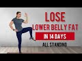 Lose lower belly fat in 14 daysall standingno jumpingbajar barriga  eliminar grasa abdomen