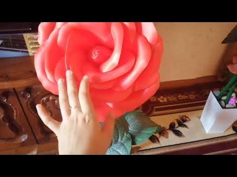 Erkak chochqa bilan jinsiy aloqada bolgan ayollar Kapitan Phasma porno