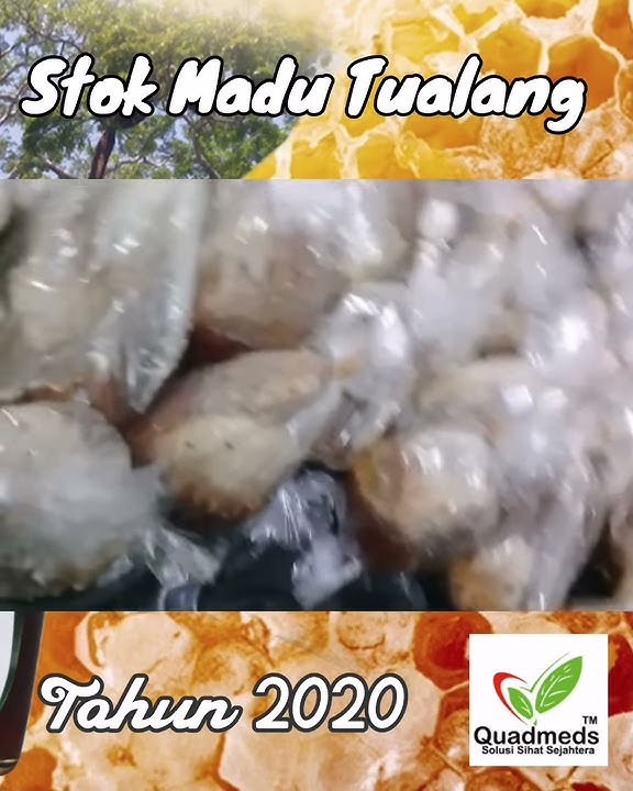 JIWA SAFI - STOK AWAL TAHUN 2020 MADU TUALANG ASLI QUADMEDS