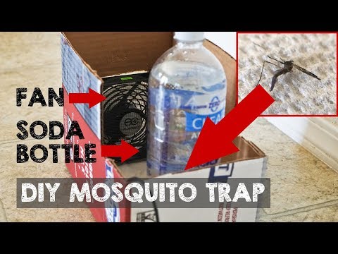 DIY Mosquito Trap that Actually Catches