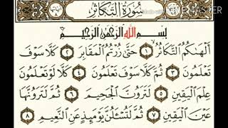 سورة التكاثر كاملة و مكتوبة بصوت القارئ بيشوا قادر الكردي 🌼