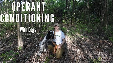 OPERANT CONDITIONING || UNDERSTANDING DOG TRAINING