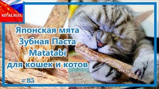 Зубная Паста Matatabi для кошек и котов Японская мята для кошек #85 Зубная Паста Matatabi для кошек и котов Японская мята для кошек #85