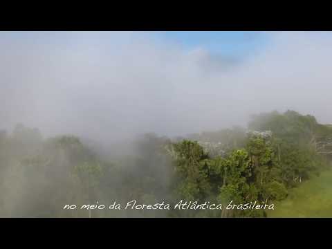 Fazenda Alleança Portoguese sub