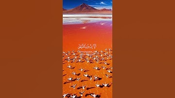 استحوذ عليهم الشيطان فأنساهم ذكر الله🌿 قرآن كريم🌿 القارئ شريف مصطفى