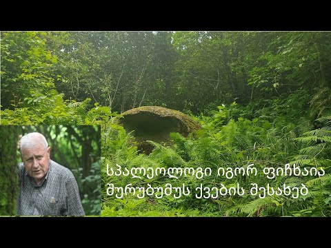 სპალეოლოგი იგორ ფიჩხაია შურუბუმუს ქვების შესახებ