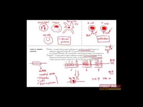 First Aid for the USMLE Step 1, IMMUNOLOGY + 01 = Overview of the immune system