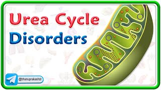 Urea Cycle Disorders Animation : USMLE Step 1