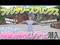 【新エリア】ディズニーシーのファンタジースプリングスが凄すぎた...