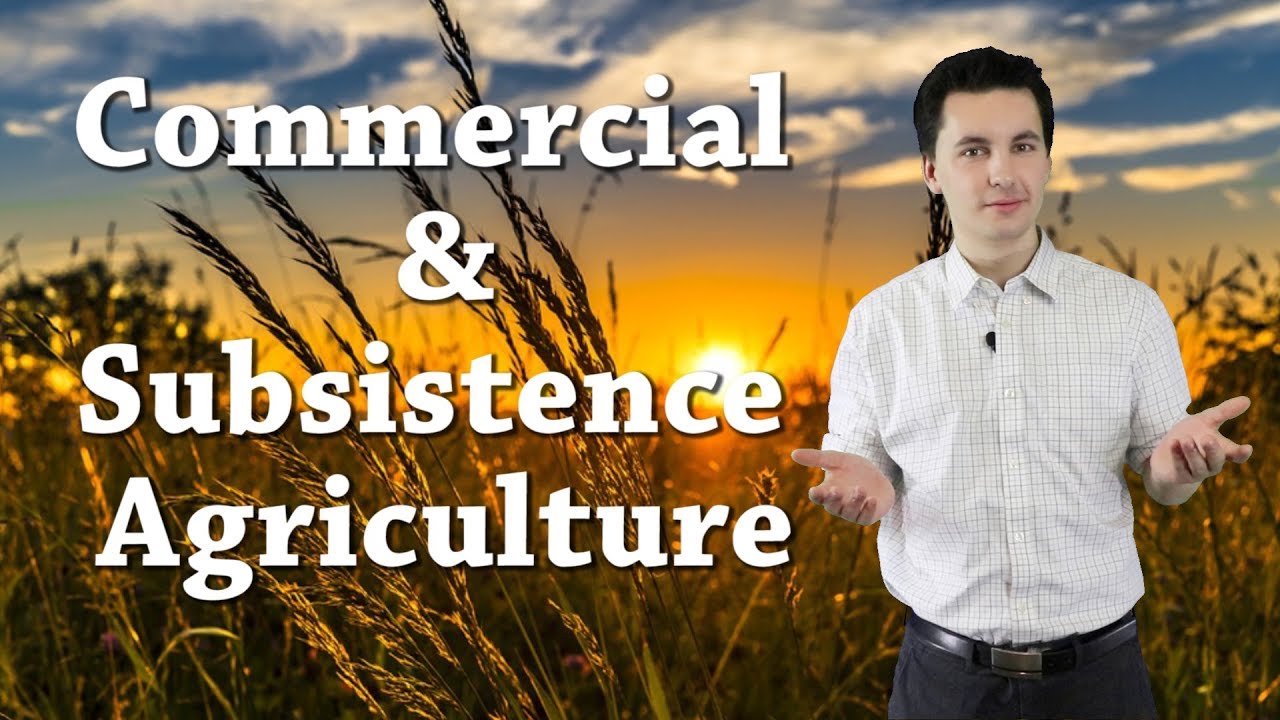 subsistence farming definition