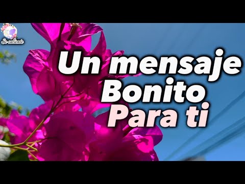 Frases motivadoras para ti Un hermoso mensaje de reflexión 10 Frases Inspiradoras para Motivar a tu Compañera de Trabajo